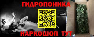 молекула духа Гагарин