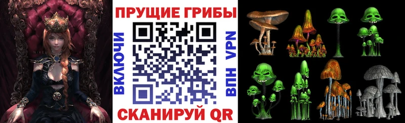 закладки Каменка Псилоцибиновые грибы GOLDEN TEACHER