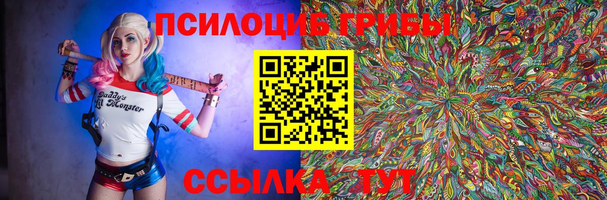 Галлюциногенные грибы GOLDEN TEACHER  Каменка 