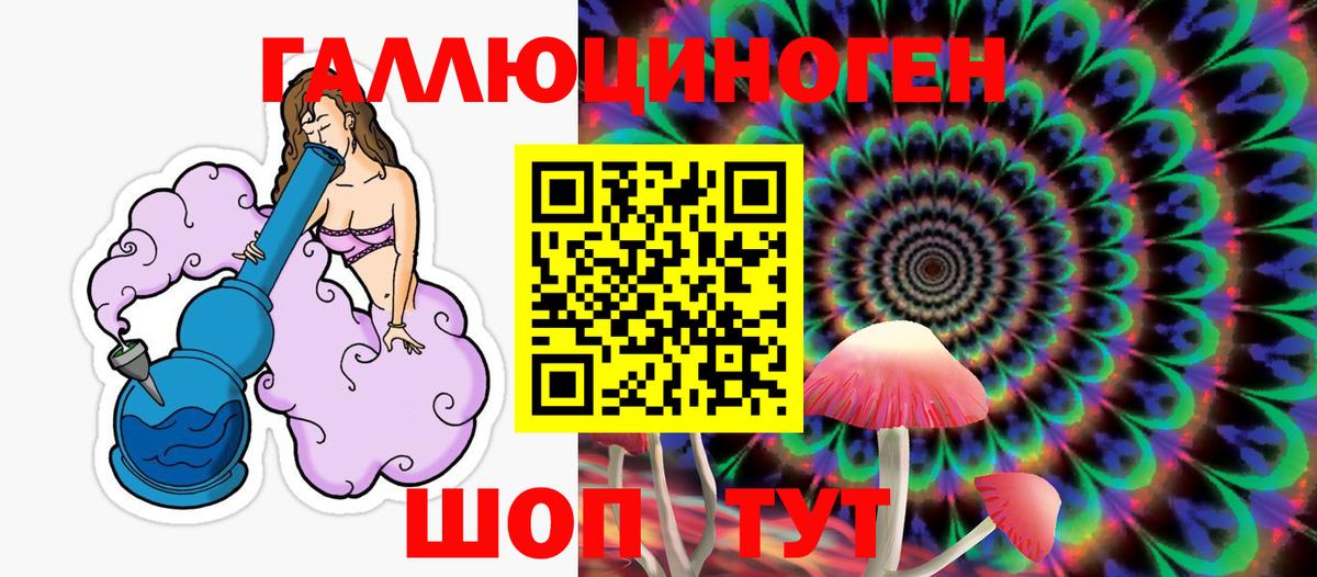 Каменка  Псилоцибиновые грибы прущие грибы  купить наркоту  Вход с VPN 
