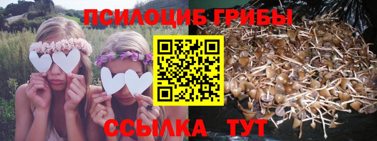 Галлюциногенные грибы MAGIC MUSHROOMS Каменка
