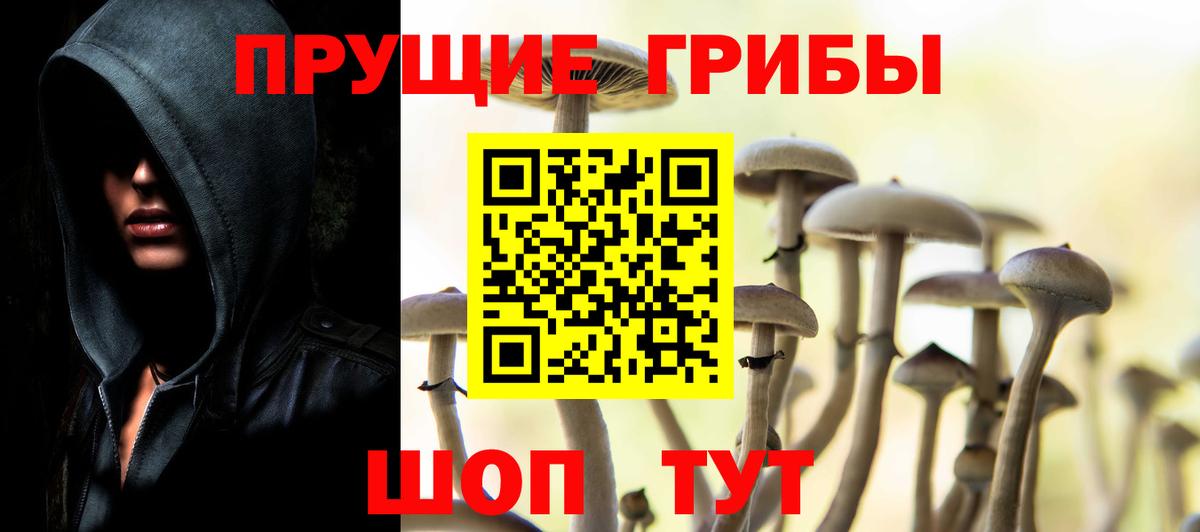 Галлюциногенные грибы прущие грибы Каменка