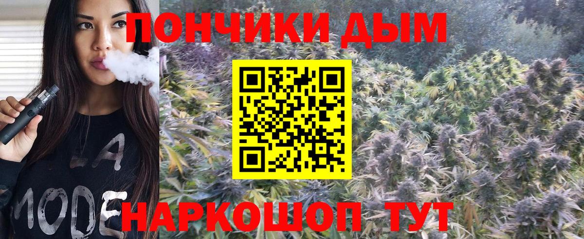 Канабис SATIVA & INDICA  Каннабис конопля  Канабис Amnesia  Каменка 
